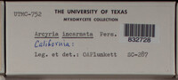 Image Associated With the Occurence